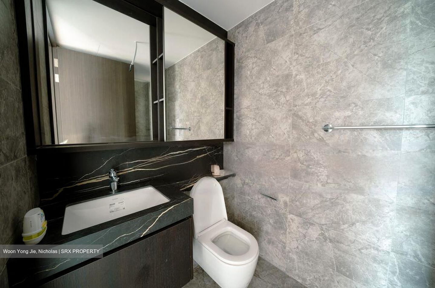 Hyll On Holland (D10), Condominium #467604611